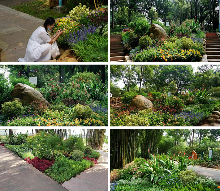 37a430020fa30edb02394c3b2db1dd6 37a430020fa30edb02394c3b2db1dd6